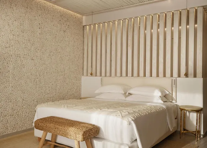 酒店 Icon Mykonos 4*